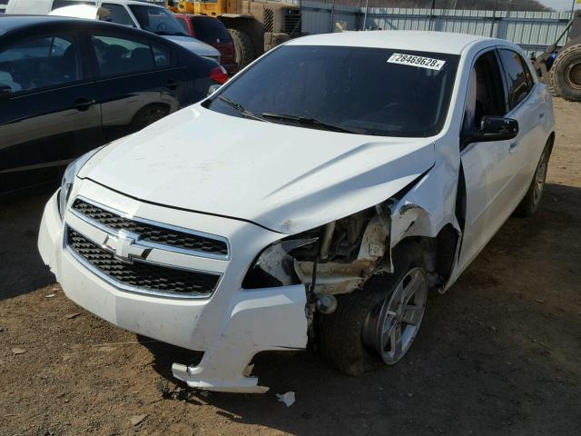 1G11A5SA1DF223406 - 2013 CHEVROLET MALIBU LS 白色 照片 2
