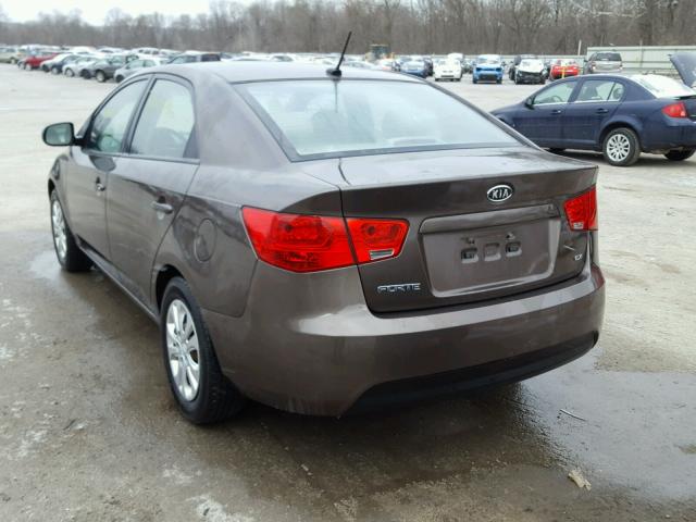 KNAFU4A25D5688041 - 2013 KIA FORTE EX BROWN photo 3