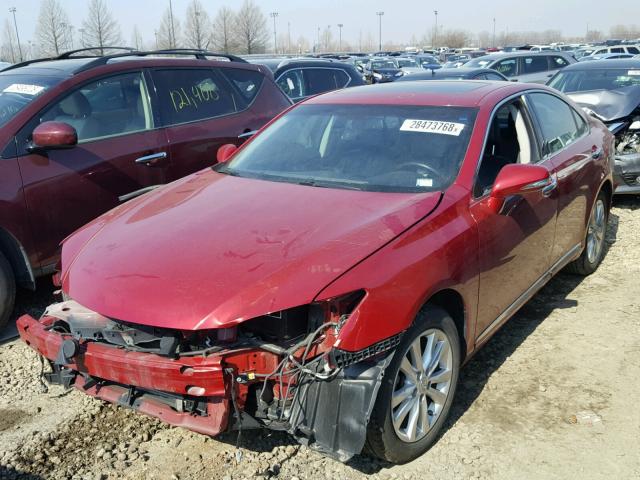 JTHBK1EG1B2465696 - 2011 LEXUS ES 350 BURGUNDY photo 2