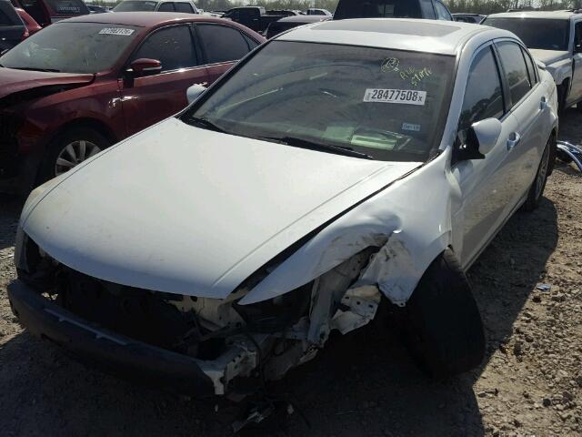 1HGCP36898A041886 - 2008 HONDA ACCORD EXL WHITE photo 2