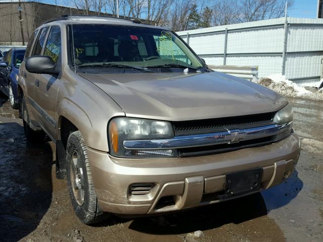 1GNDT13S242246027 - 2004 CHEVROLET TRAILBLAZE TAN photo 1