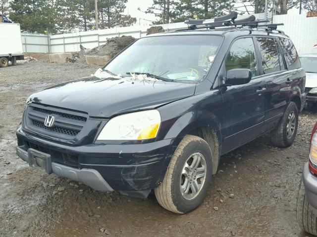 5FNYF18565B007115 - 2005 HONDA PILOT EXL BLACK photo 2