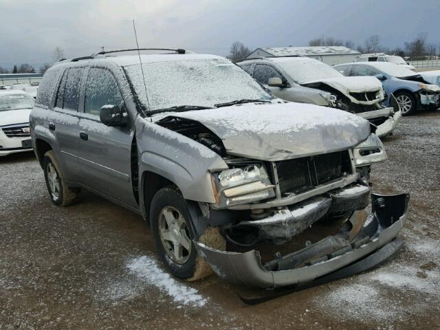 1GNDT13S062232792 - 2006 CHEVROLET TRAILBLAZE GRAY photo 1