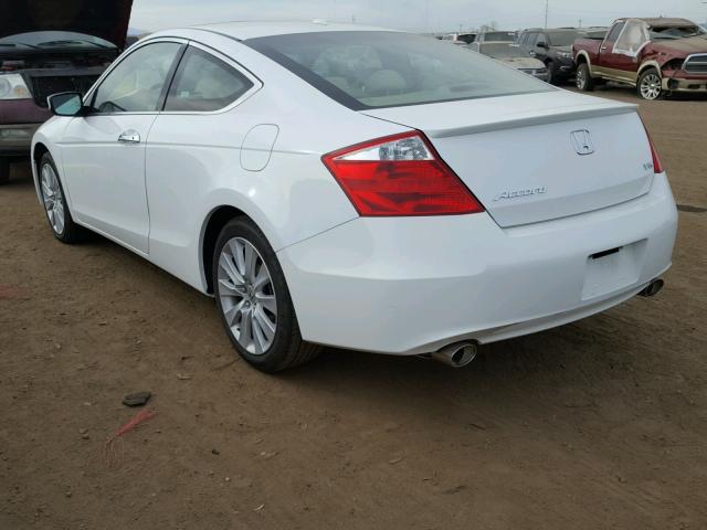 1HGCS22809A012356 - 2009 HONDA ACCORD EXL WHITE photo 3