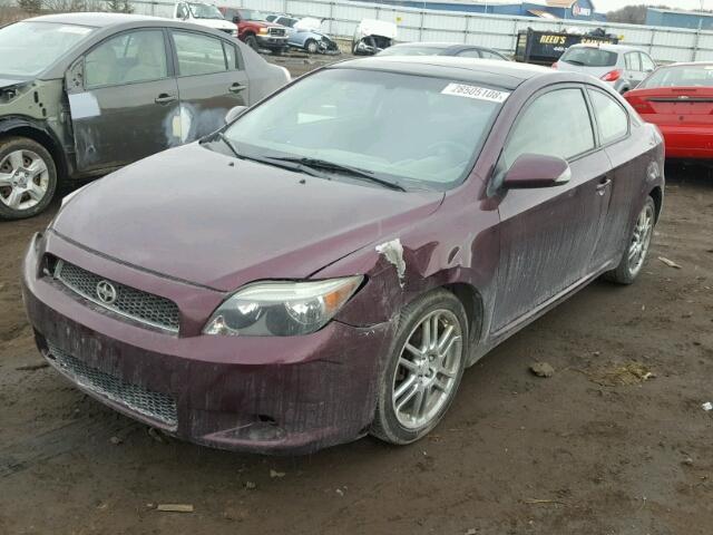 JTKDE177050018137 - 2005 TOYOTA SCION TC PURPLE photo 2