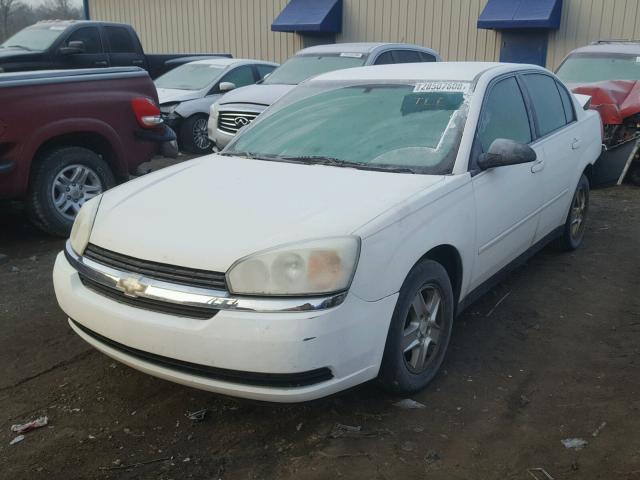 1G1ZT52854F126137 - 2004 CHEVROLET MALIBU LS თეთრი ფოტო 2