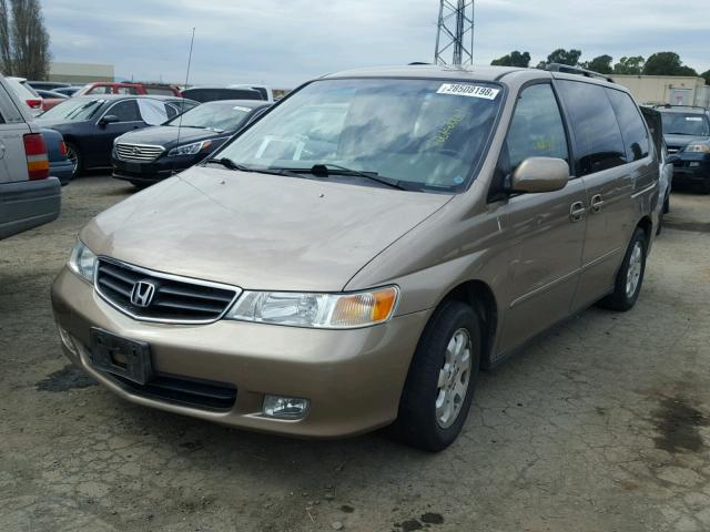 5FNRL18043B005250 - 2003 HONDA ODYSSEY EX GOLD photo 2