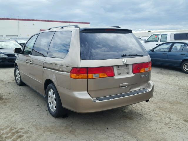 5FNRL18043B005250 - 2003 HONDA ODYSSEY EX GOLD photo 3