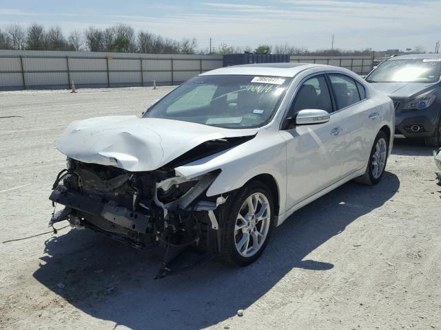 1N4AA5AP8EC466183 - 2014 NISSAN MAXIMA S WHITE photo 2