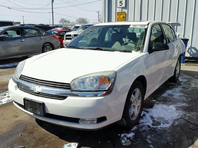 1G1ZU54864F138324 - 2004 CHEVROLET MALIBU LT WHITE photo 2