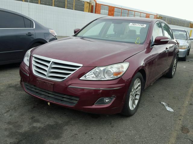 KMHGC4DE5BU134609 - 2011 HYUNDAI GENESIS 3. BURGUNDY photo 2