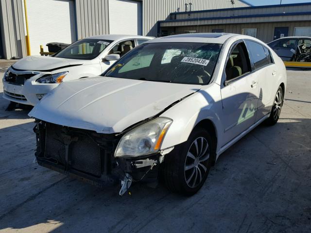 1N4BA41E08C820330 - 2008 NISSAN MAXIMA SE WHITE photo 2