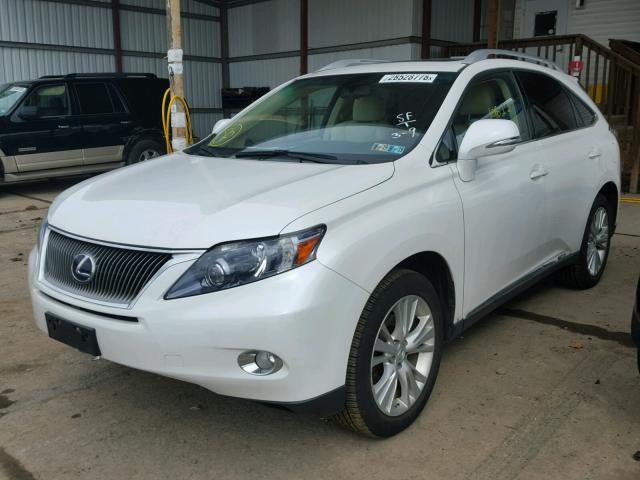 JTJBC1BA7A2408008 - 2010 LEXUS RX 450 WHITE photo 2