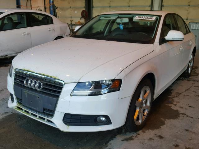 WAULF78K89A131904 - 2009 AUDI A4 2.0T QU WHITE photo 2