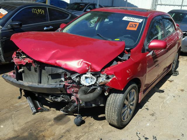 2T1BU4EEXAC489166 - 2010 TOYOTA COROLLA BA RED photo 2