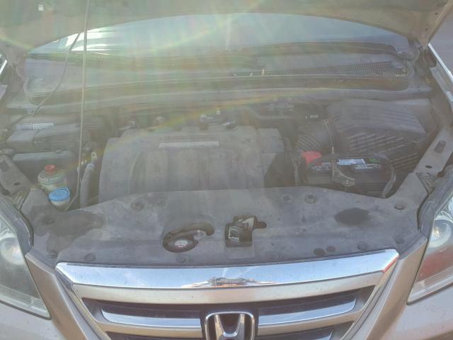 5FNRL38725B115516 - 2005 HONDA ODYSSEY EX GOLD photo 7