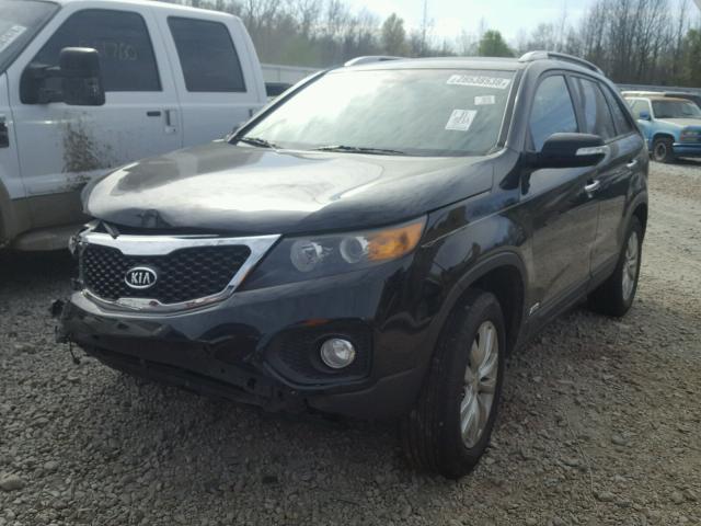 5XYKTDA2XBG065104 - 2011 KIA SORENTO BA BLACK photo 2