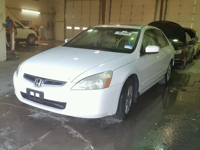 1HGCM66544A048027 - 2004 HONDA ACCORD EX WHITE photo 2