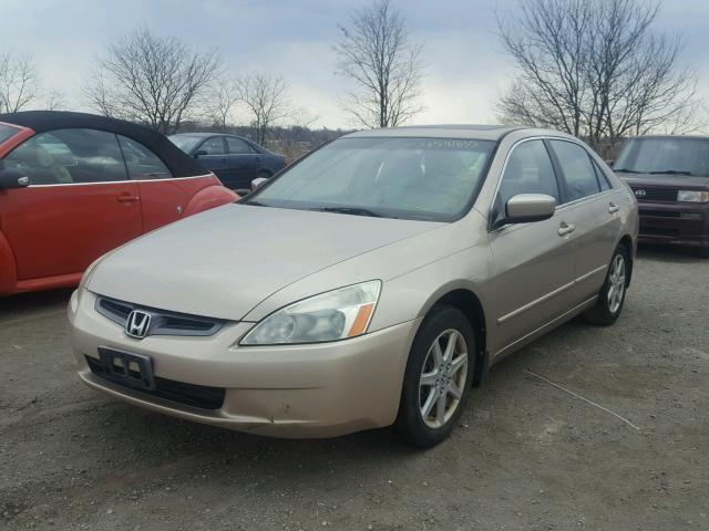 1HGCM66573A079268 - 2003 HONDA ACCORD EX GOLD photo 2