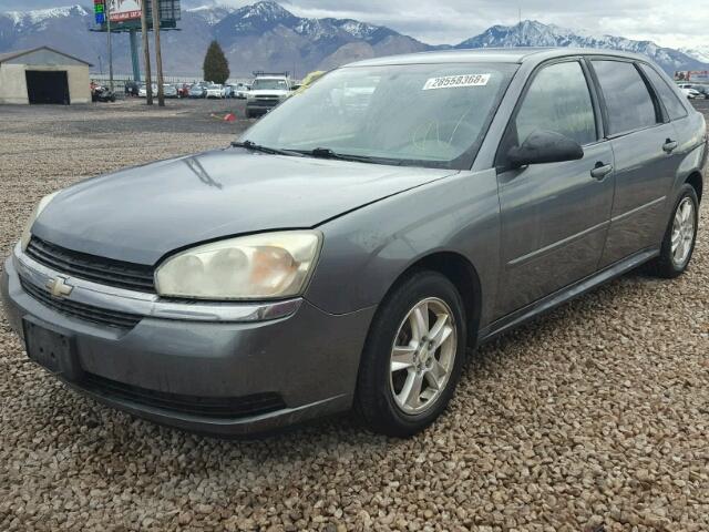 1G1ZT62855F251565 - 2005 CHEVROLET MALIBU MAX GRAY photo 2