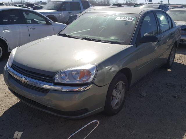 1G1ZT54885F233276 - 2005 CHEVROLET MALIBU LS 绿色 照片 2