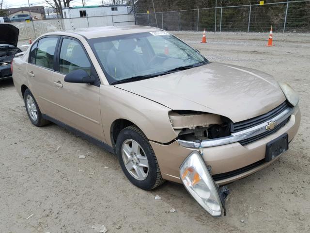 1G1ZT528X5F303251 - 2005 CHEVROLET MALIBU LS GOLD photo 1