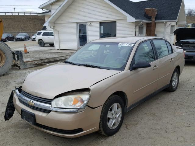 1G1ZT528X5F303251 - 2005 CHEVROLET MALIBU LS GOLD photo 2