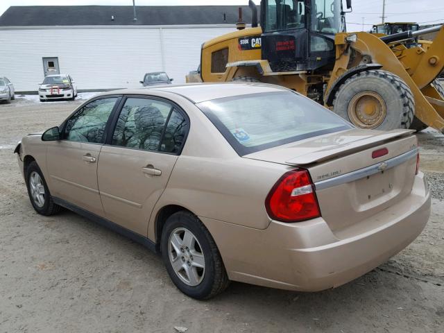 1G1ZT528X5F303251 - 2005 CHEVROLET MALIBU LS GOLD photo 3