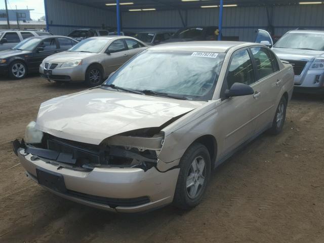 1G1ZT52865F230265 - 2005 CHEVROLET MALIBU LS BEIGE photo 2