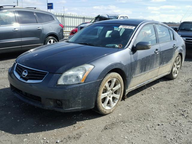 1N4BA41E88C818583 - 2008 NISSAN MAXIMA SE GRAY photo 2