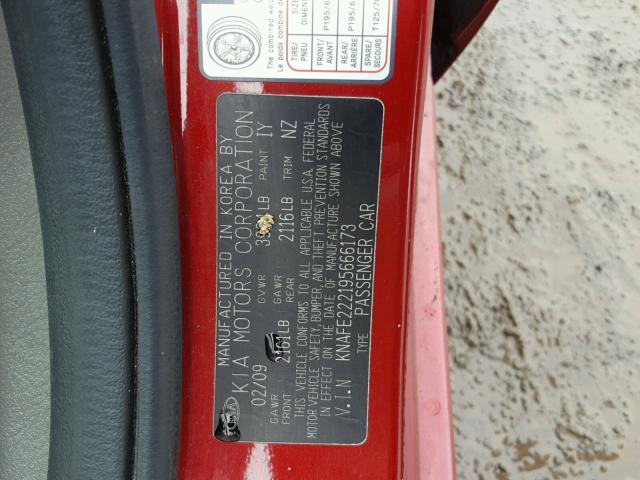 KNAFE222195666173 - 2009 KIA SPECTRA EX RED photo 10