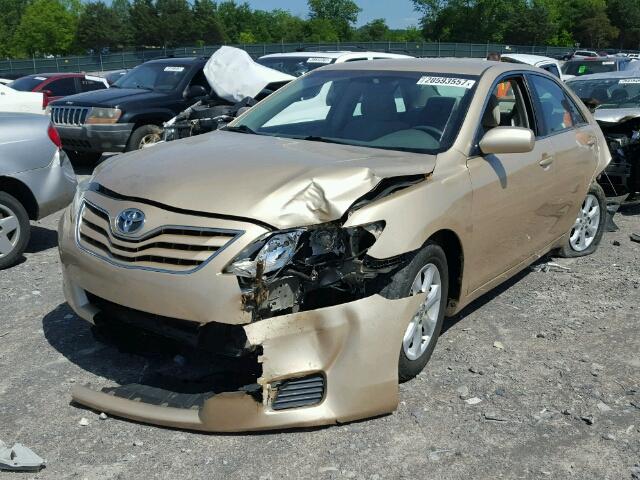 4T1BF3EK6BU218583 - 2011 TOYOTA CAMRY/SE/L GOLD photo 2