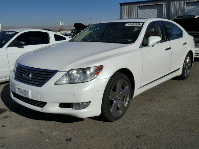 JTHBL5EF9A5095803 - 2010 LEXUS LS 460 WHITE photo 2