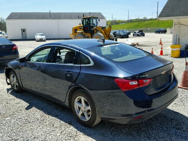1G1ZB5STXGF346255 - 2016 CHEVROLET MALIBU LS BLUE photo 3