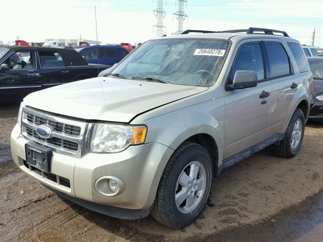 1FMCU0DG0AKA54618 - 2010 FORD ESCAPE XLT TAN photo 2