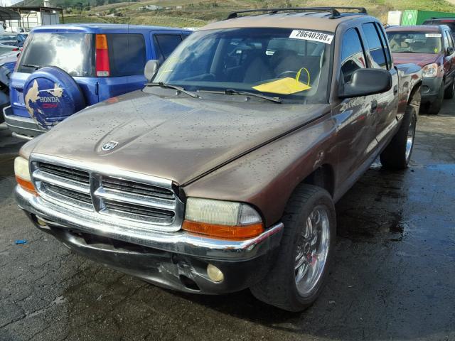 1B7GL2AN21S140195 - 2001 DODGE DAKOTA QUA BROWN photo 2