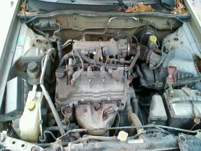 3N1CBS1D75L541663 - 2005 NISSAN SENTRA TAN photo 7