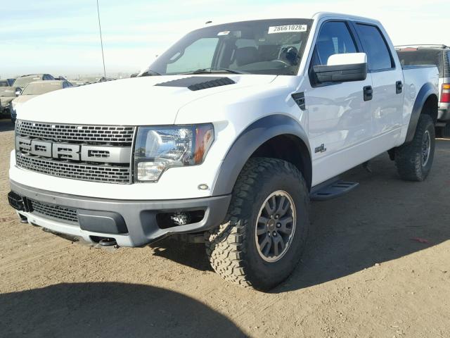1FTFW1R61BFB17060 - 2011 FORD F150 SVT R WHITE photo 2