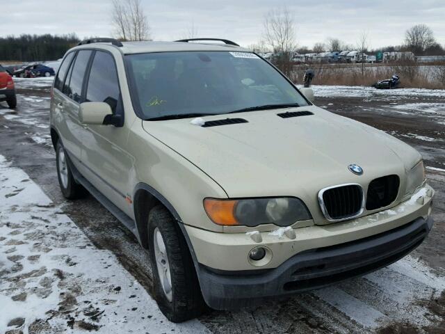 5UXFA53523LV94166 - 2003 BMW X5 3.0I GOLD photo 1