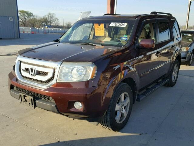 5FNYF38599B025352 - 2009 HONDA PILOT EXL BURGUNDY photo 2