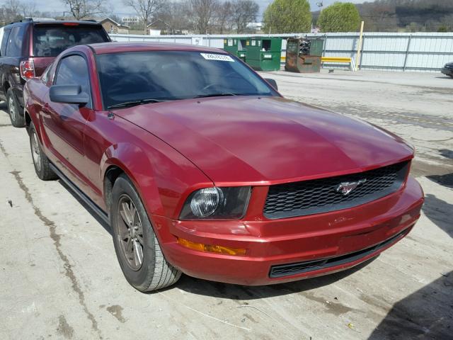 1ZVFT80N755201767 - 2005 FORD MUSTANG RED photo 1
