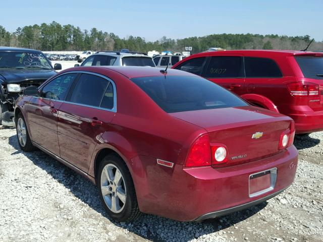 1G1ZC5E1XBF239433 - 2011 CHEVROLET MALIBU 1LT 勃艮第红 照片 3
