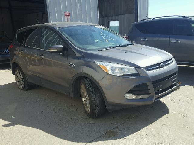 1FMCU0HX7DUA95279 - 2013 FORD ESCAPE SEL GRAY photo 1