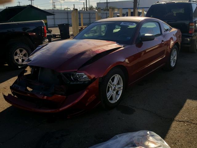 1ZVBP8AM7E5285114 - 2014 FORD MUSTANG RED photo 2