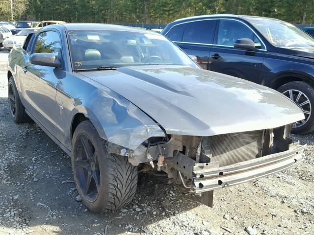 1ZVBP8AM6B5159225 - 2011 FORD MUSTANG GRAY photo 1