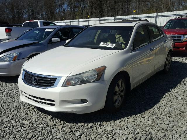 1HGCP36858A058572 - 2008 HONDA ACCORD EXL WHITE photo 2