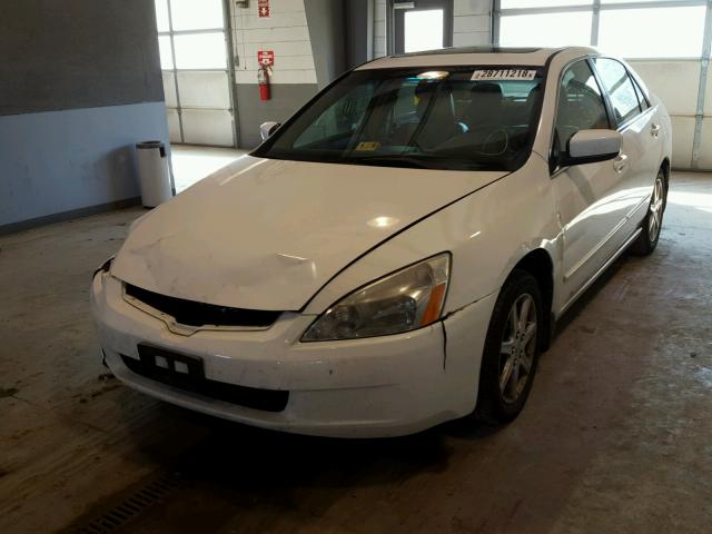 1HGCM66564A019015 - 2004 HONDA ACCORD EX WHITE photo 2