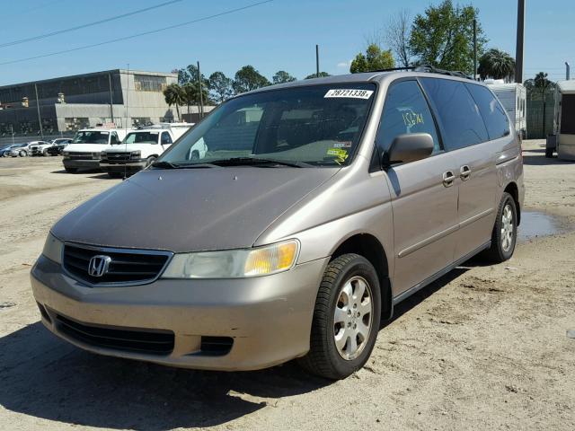 5FNRL18994B086875 - 2004 HONDA ODYSSEY EX GOLD photo 2