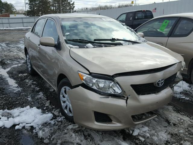 2T1BU4EEXAC508427 - 2010 TOYOTA COROLLA BA GOLD photo 1