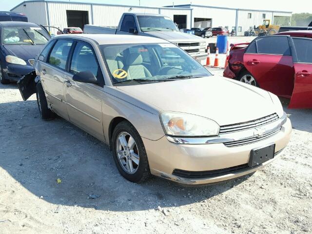 1G1ZT62825F181717 - 2005 CHEVROLET MALIBU MAX 金色 照片 1